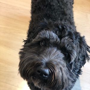 Meet your Posher, Wendy